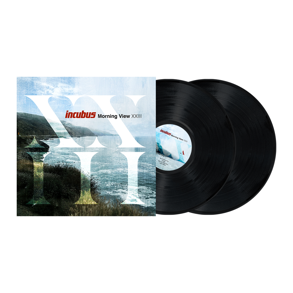 Morning View XXIII (Standard LP - Black)
